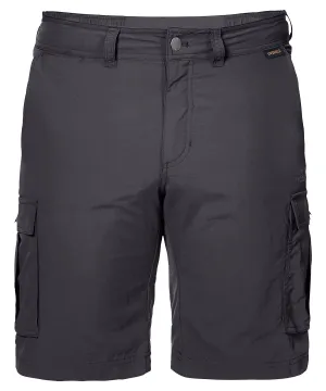 Asphalt - Cargo pocketed shorts (OL)
