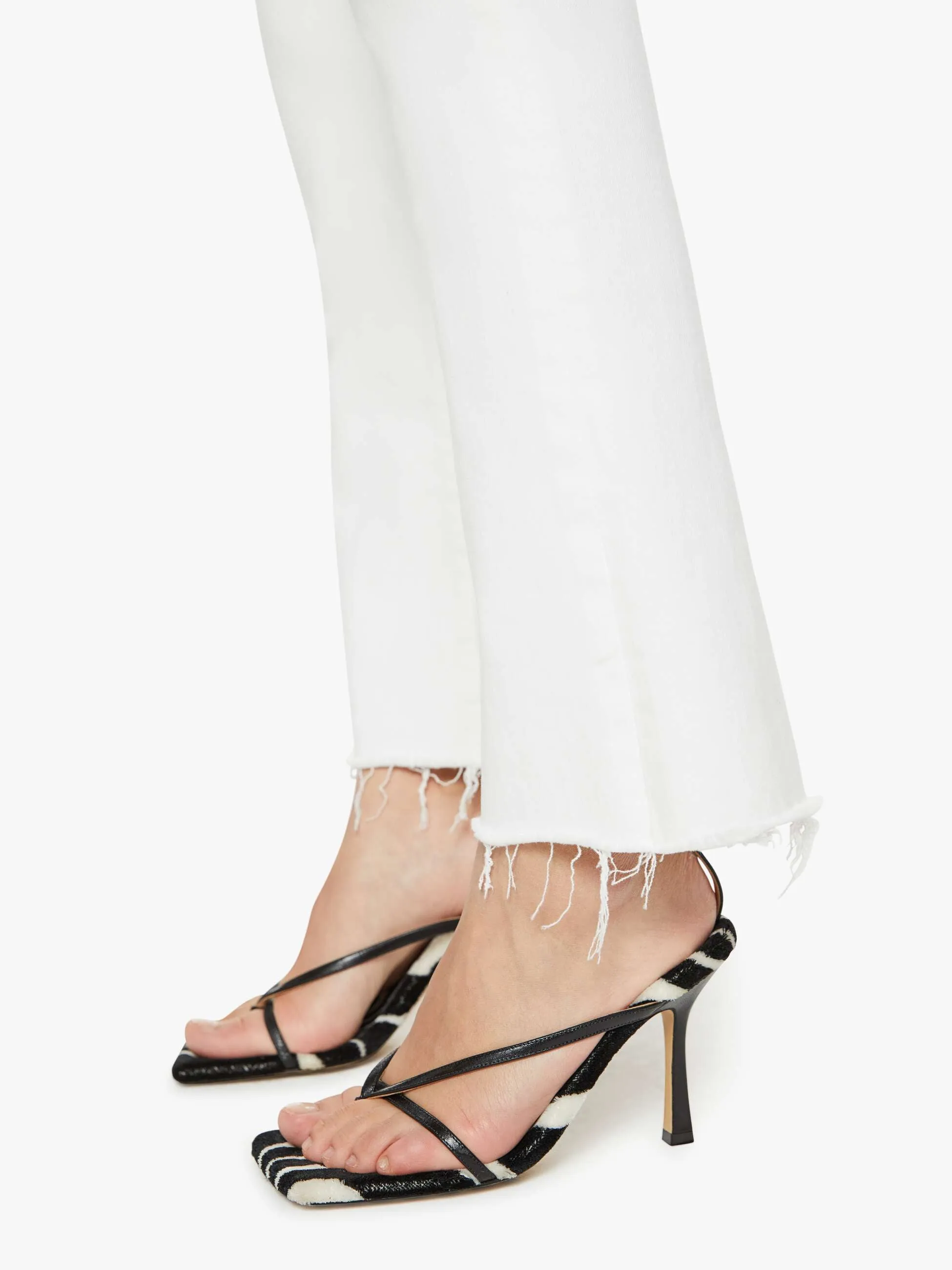 LIL HUSTLER ANKLE FRAY IN FAIREST OF THEM ALL