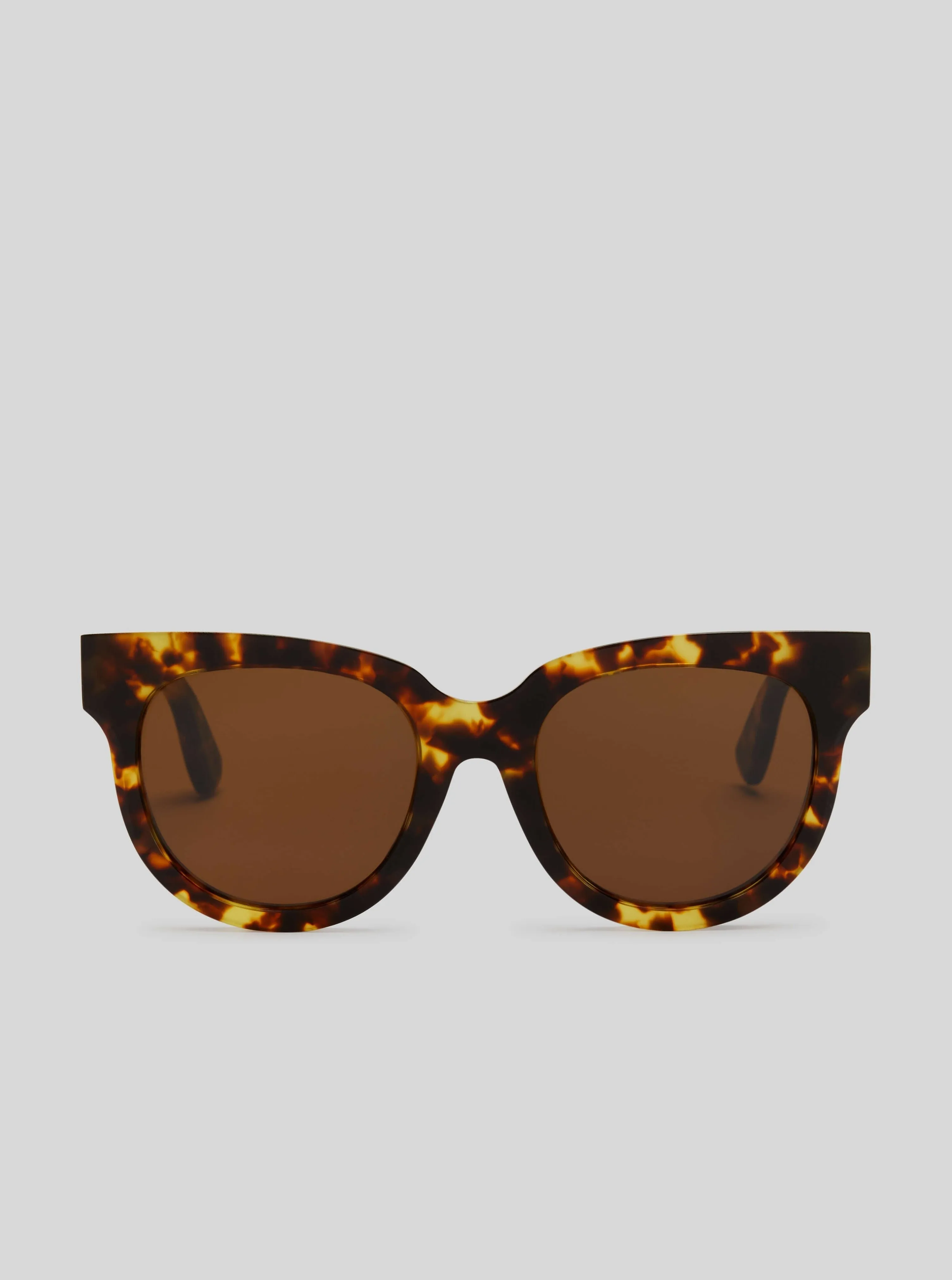 Modern Cat 01 - Brown Tortoise