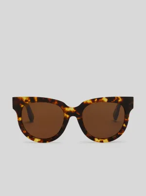 Modern Cat 01 - Brown Tortoise